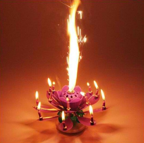 Birthday Candles Beautiful Musical Lotus Flower Happy