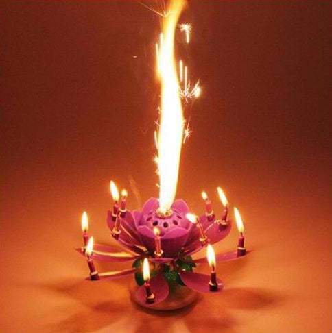 Birthday Candles Beautiful Musical Lotus Flower